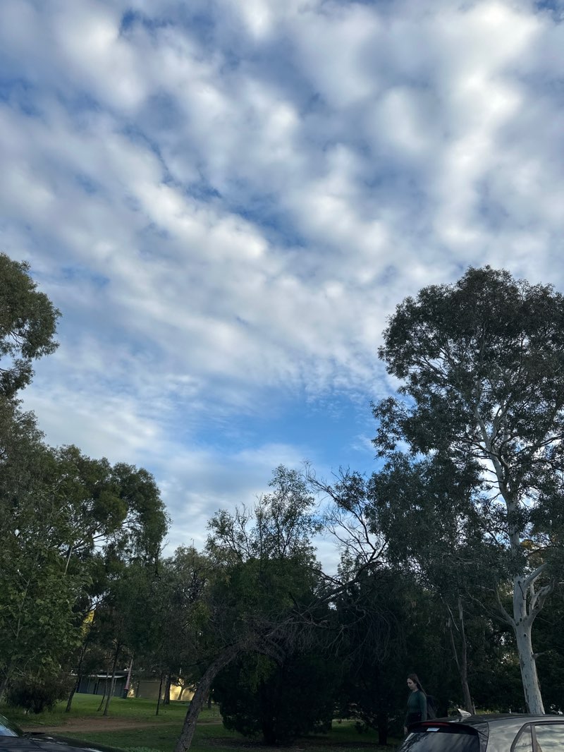 walking near me in Park 20 in autumn