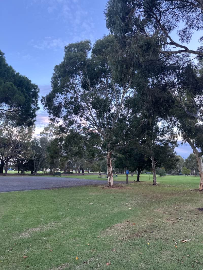 walking near me in Park 21 in autumn