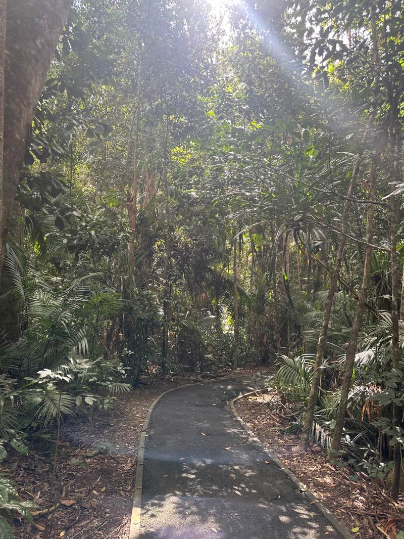 walking near me in Jumrum Creek Conservation Park in winter