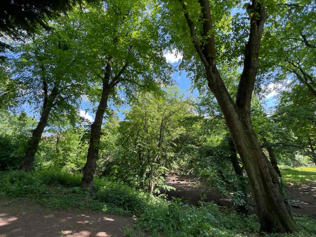 walking near me in Bournville Park in spring