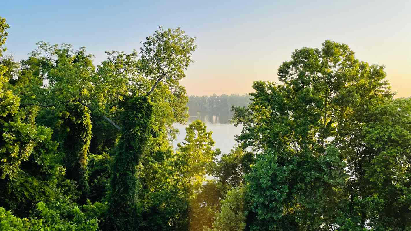 walking near me in Oxon Cove Park in winter