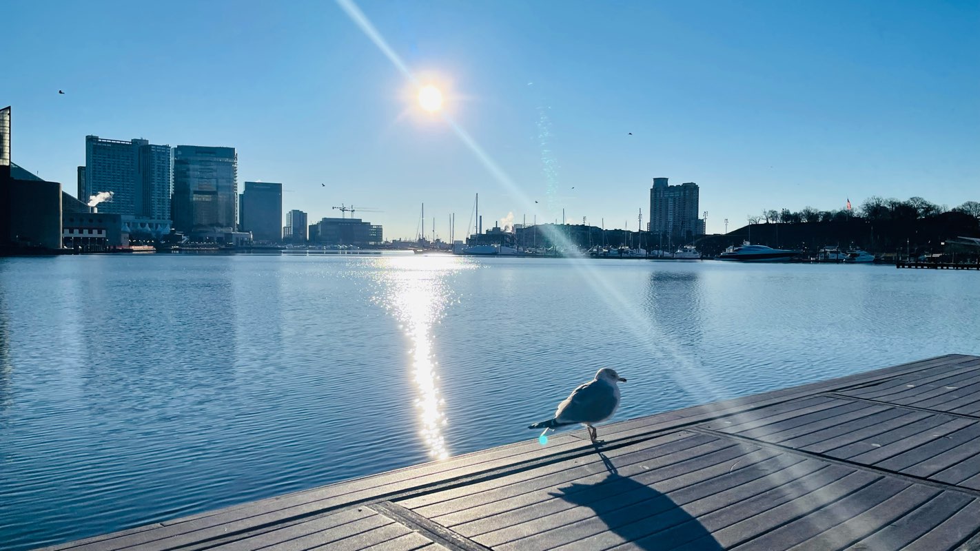 walking near me in Rash Field in winter