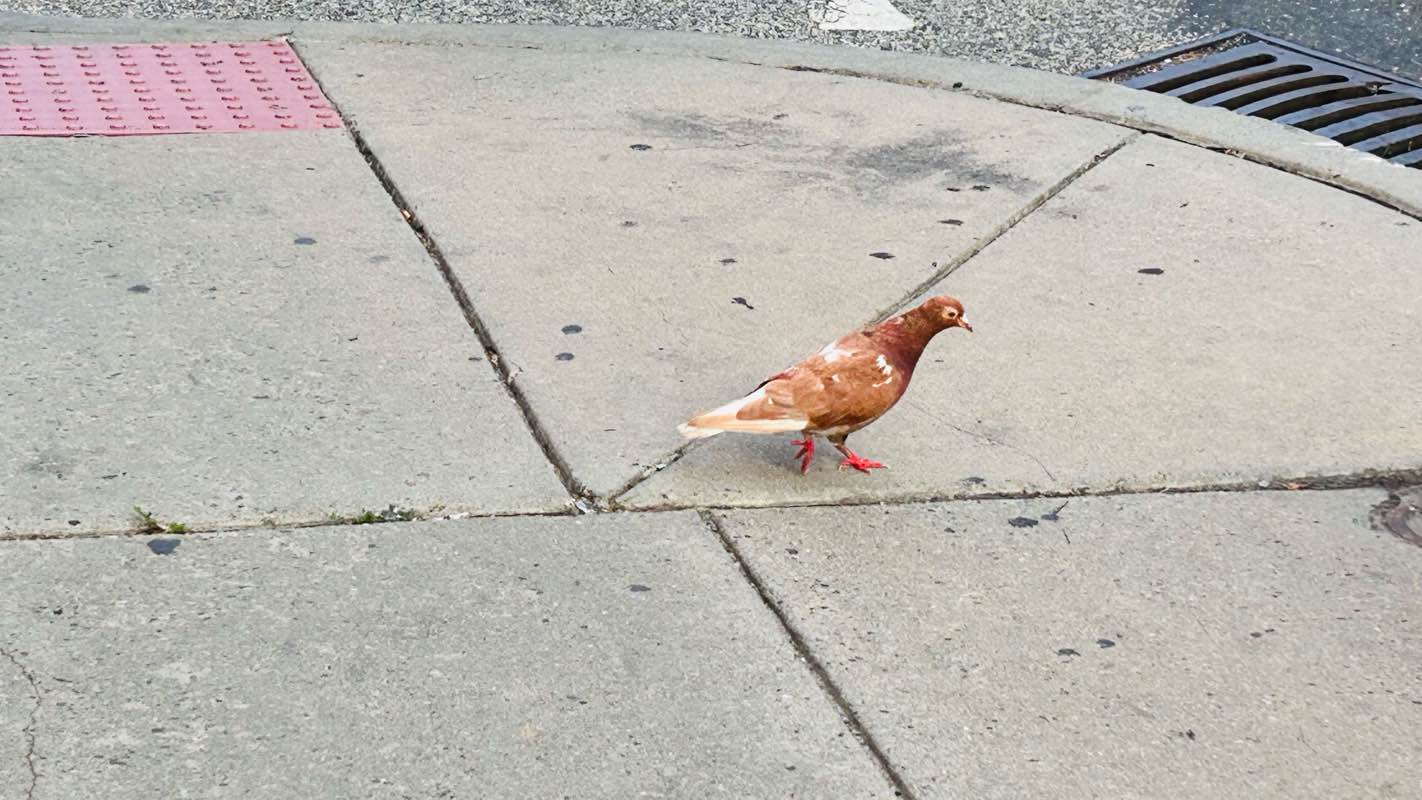 walking near me in 4th & Washington St. Park in winter