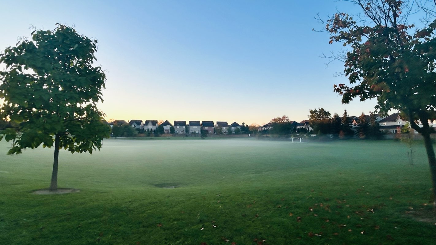 walking near me in Marco Muzzo Senior Memorial Woods and Park in autumn