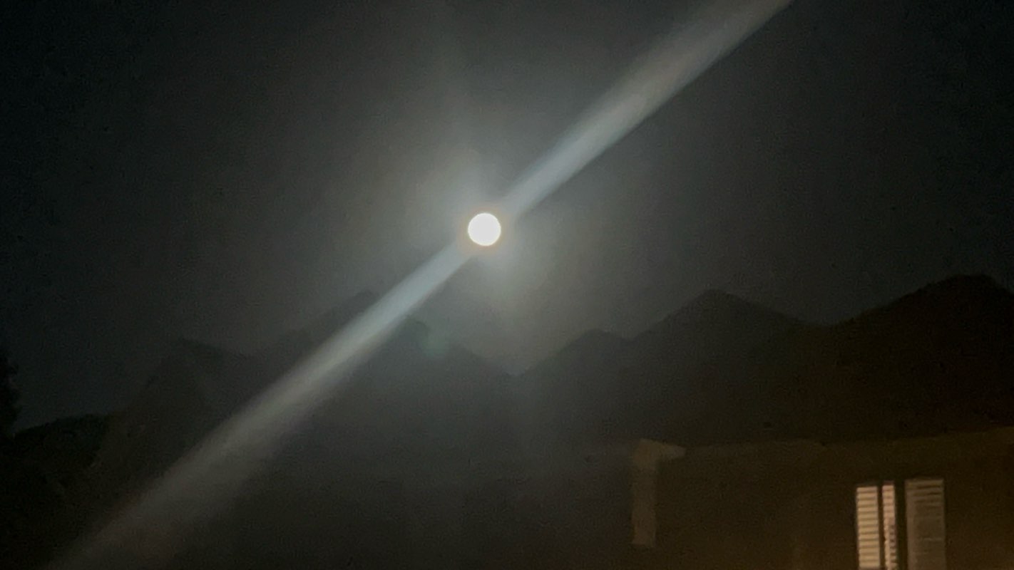 walking near me in Lake Wabukayne Park in autumn