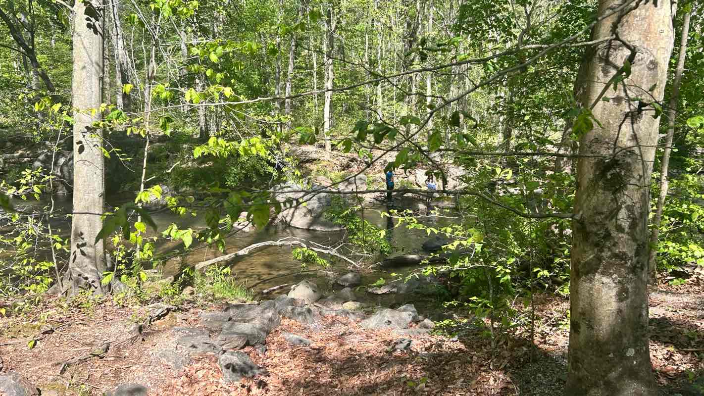 walking near me in Smedley Park in spring