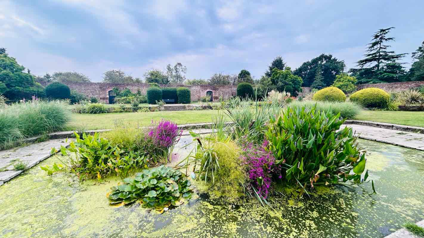 walking near me in Woodcock Park in autumn