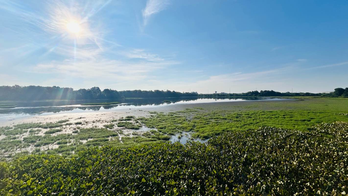 walking near me in Fairmount Park in summer