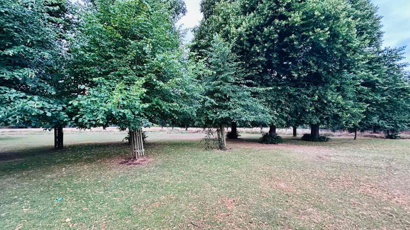 walking near me in Stanmore Marsh North in autumn