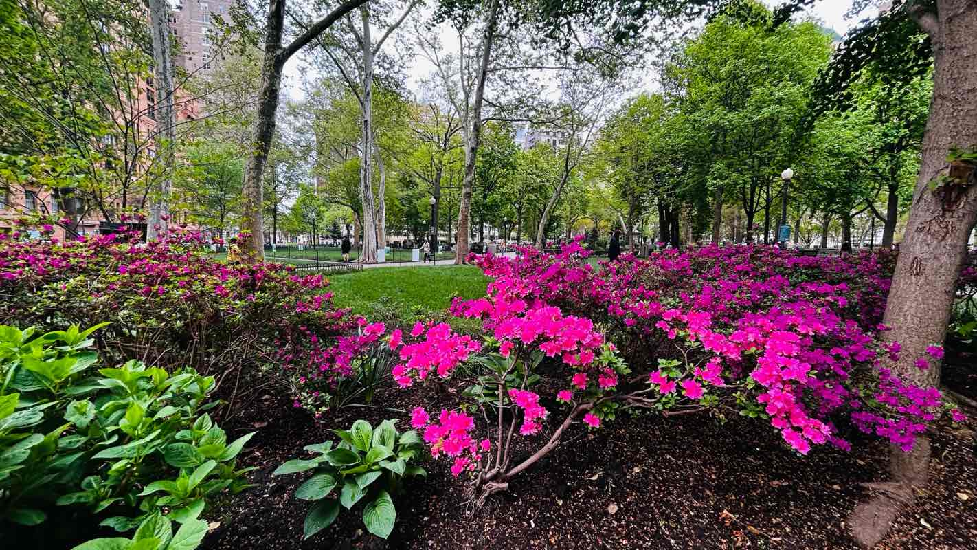 walking near me in Rittenhouse Square in spring