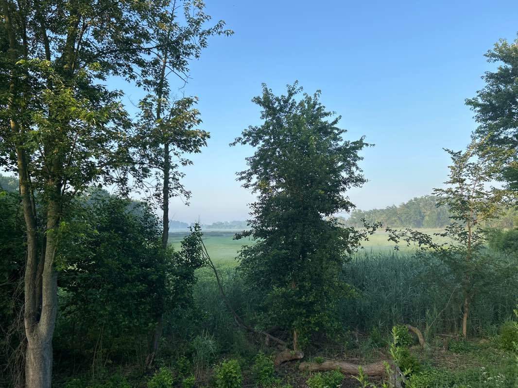 walking near me in John Heinz National Wildlife Refuge in summer