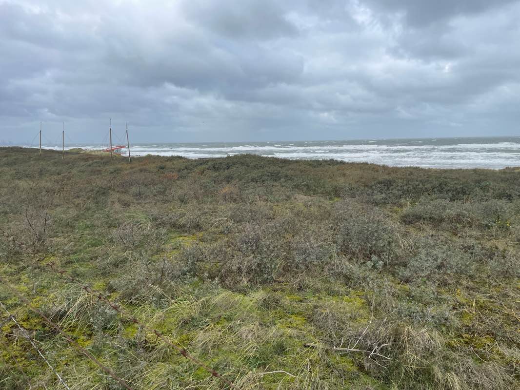 walking near me in Oranjepark in autumn