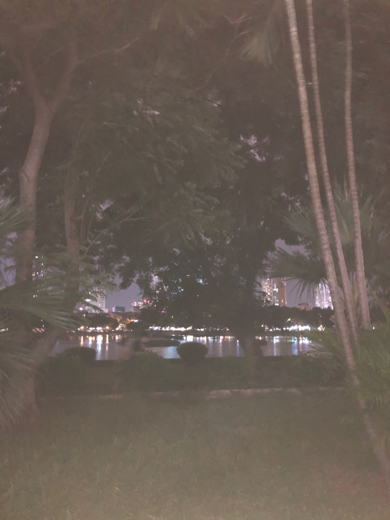 walking near me in Indira Gandhi Park in winter