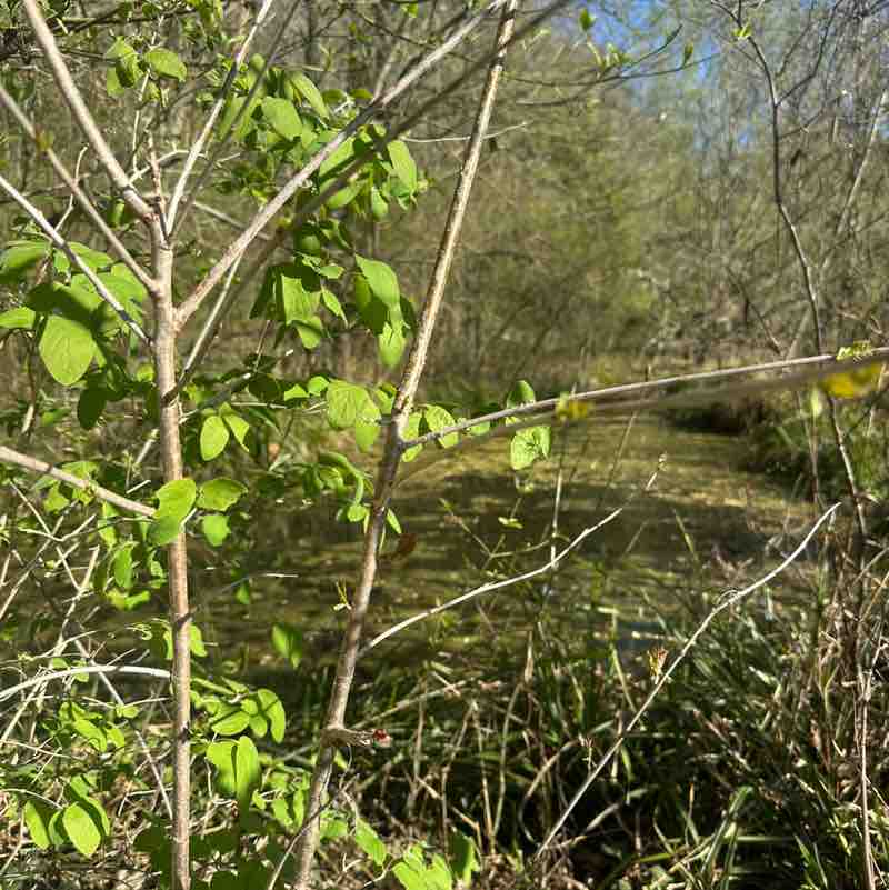 Ilda🇵🇹🇨🇭 post 2