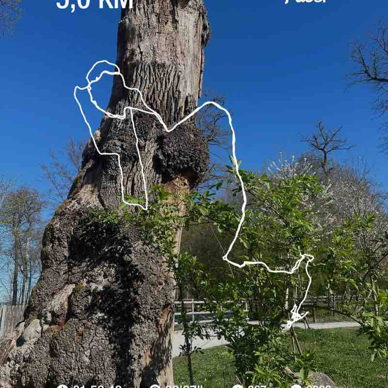 Ilda🇵🇹🇨🇭 post 1