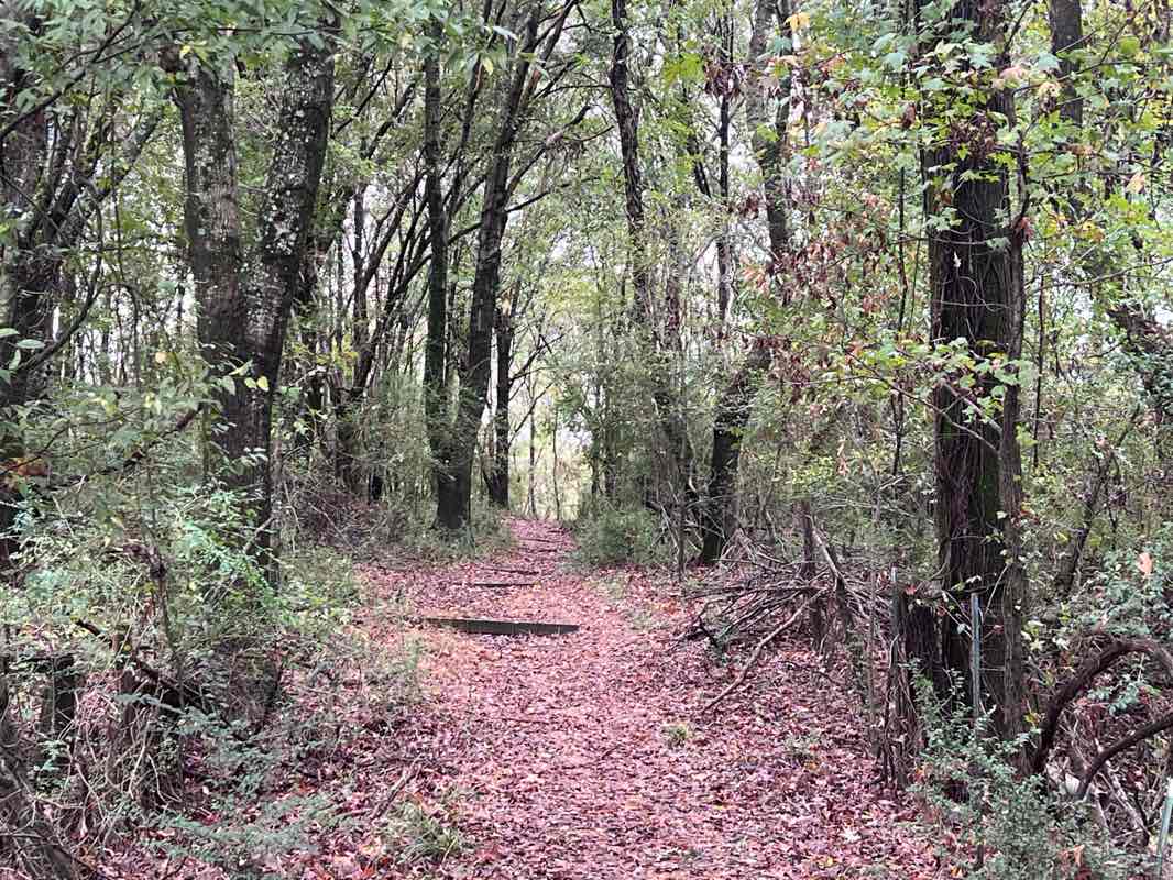 walking near me in Disc Golf Course in winter