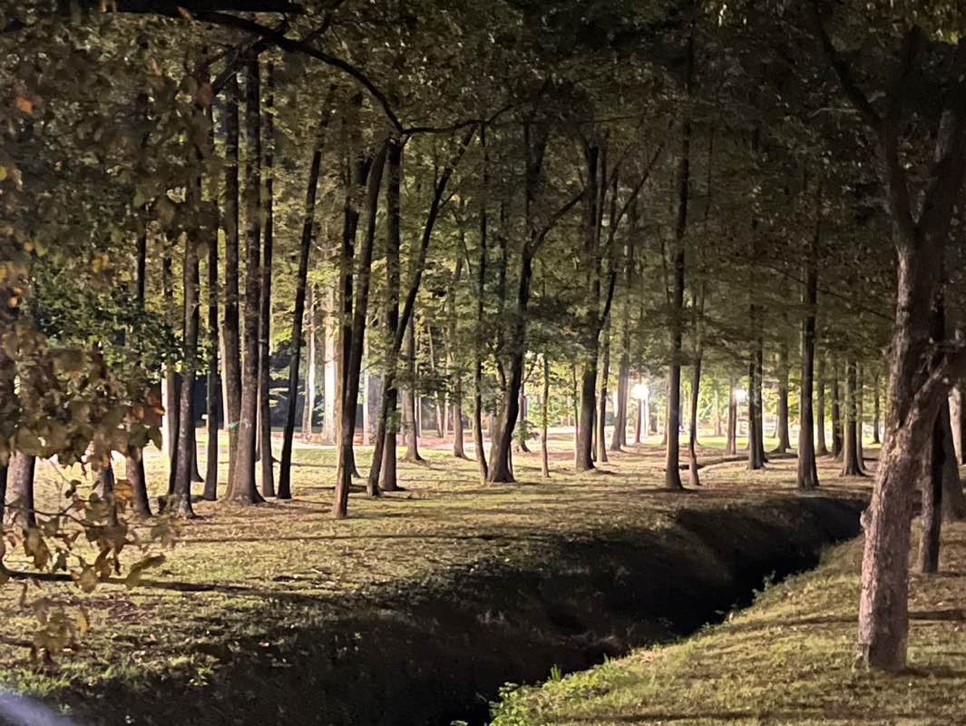 walking near me in Quail Ridge Park in autumn