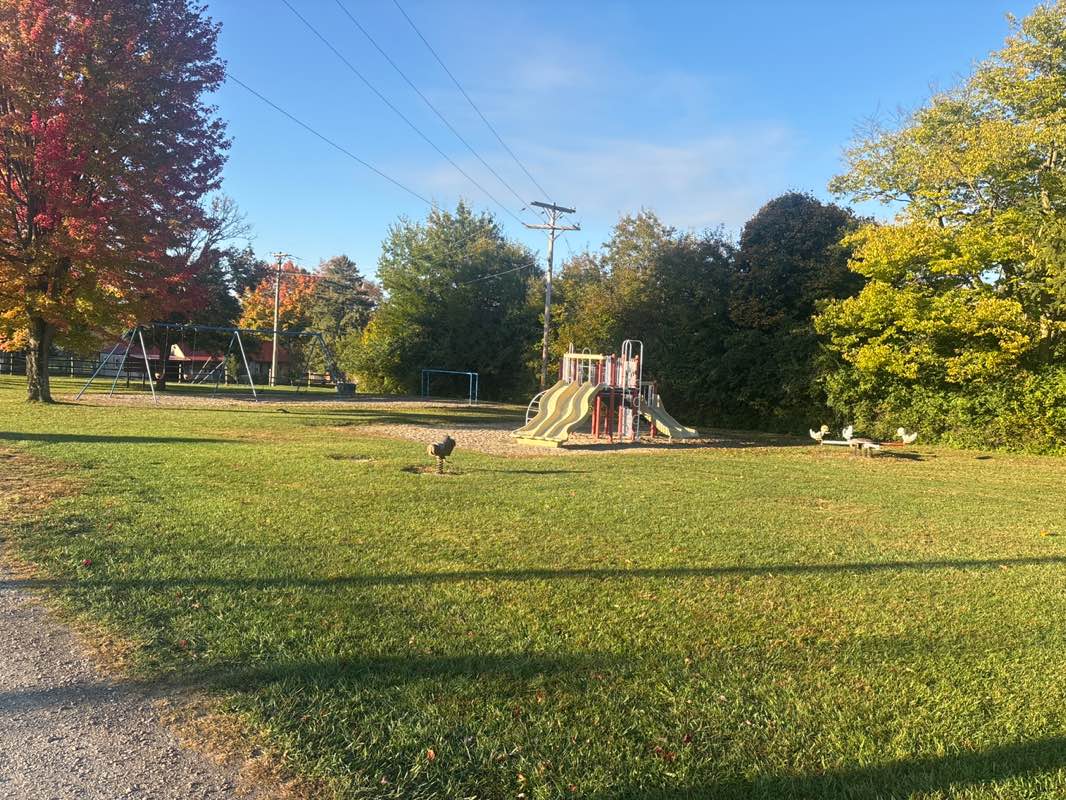walking near me in Jack Martin Park in autumn