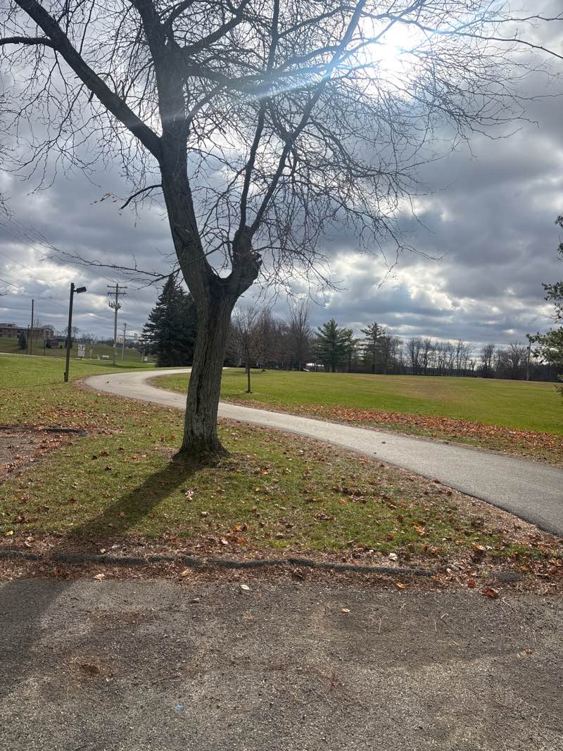 walking near me in Blue Jacket Park in autumn