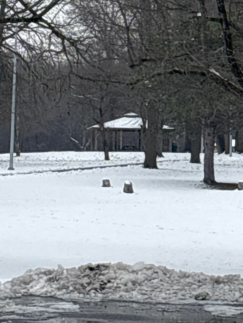 walking near me in Cook Park in winter
