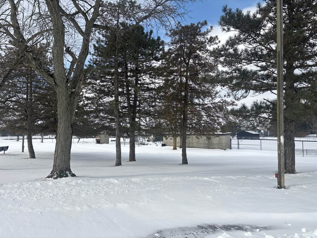 walking near me in Blue Jacket Park in winter