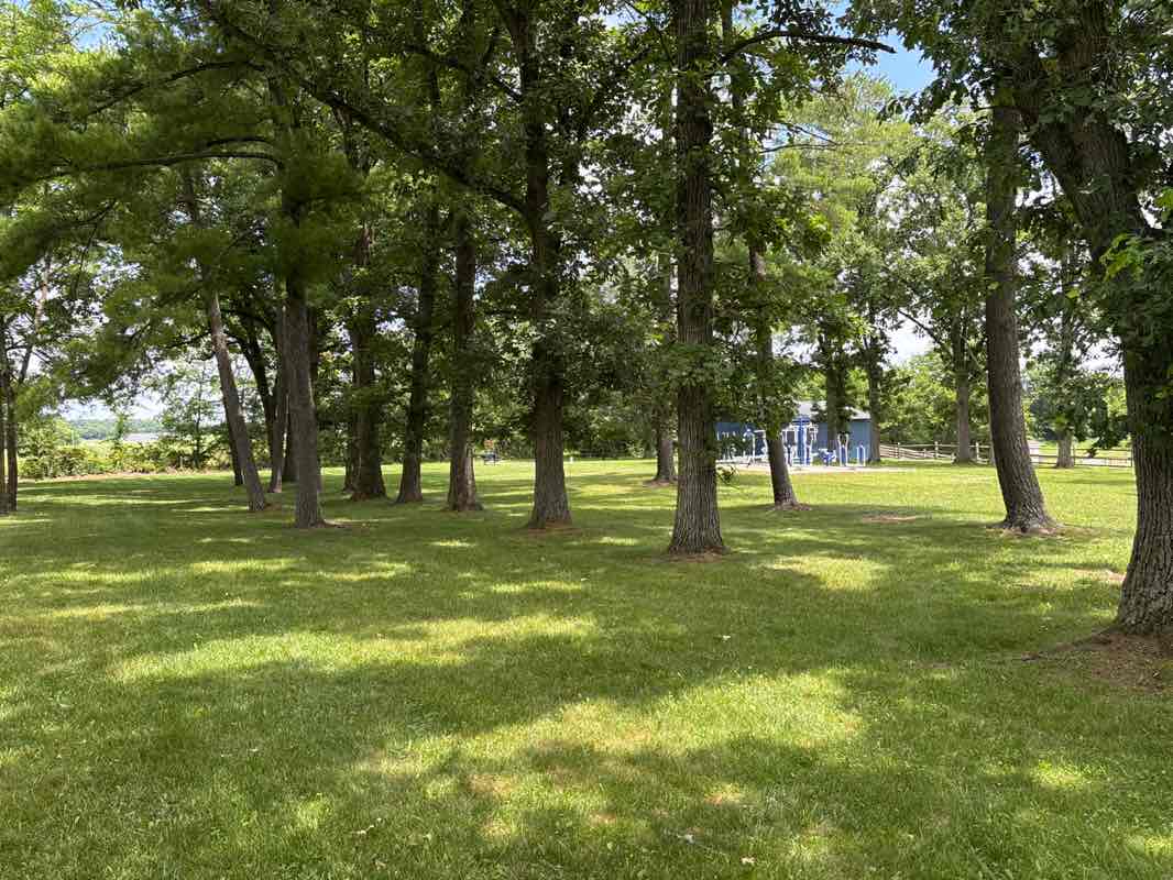 walking near me in East Liberty Park in summer