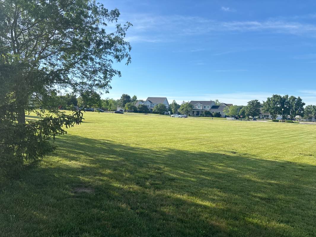 walking near me in Trinity Park in summer