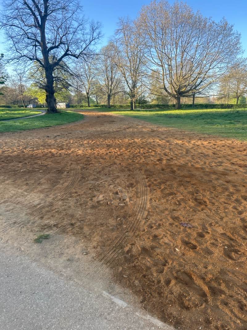 walking near me in Hyde Park in spring