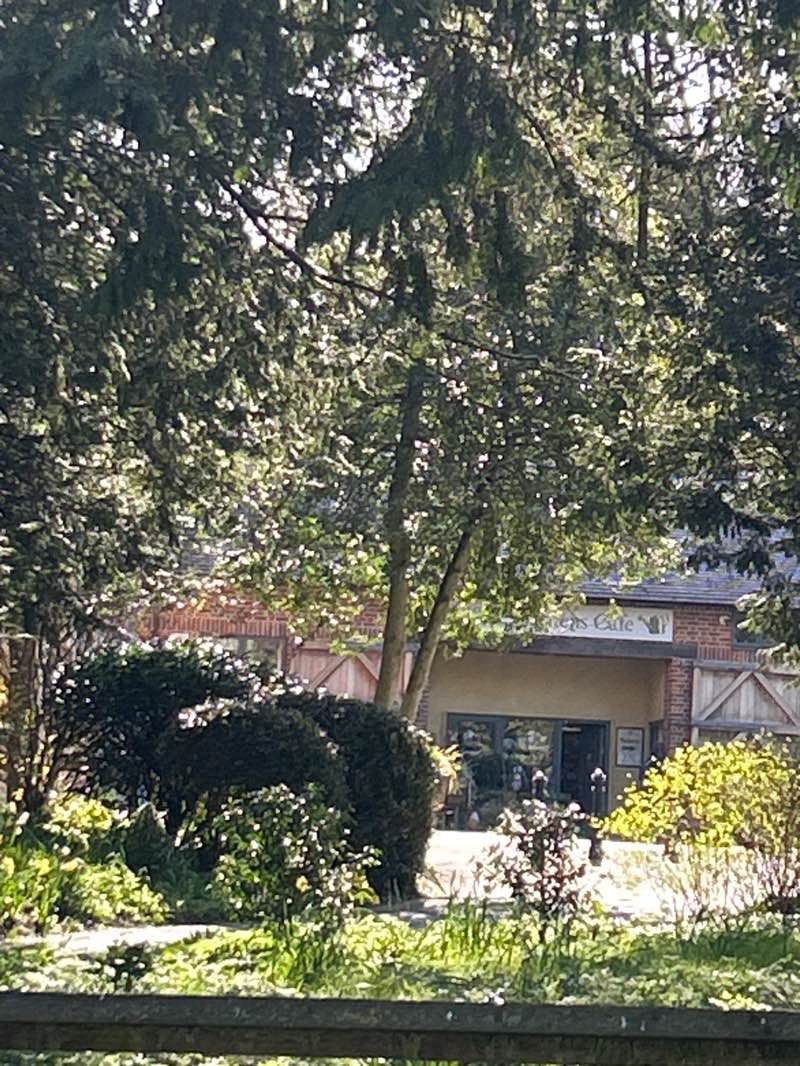 walking near me in Long Meadow in spring