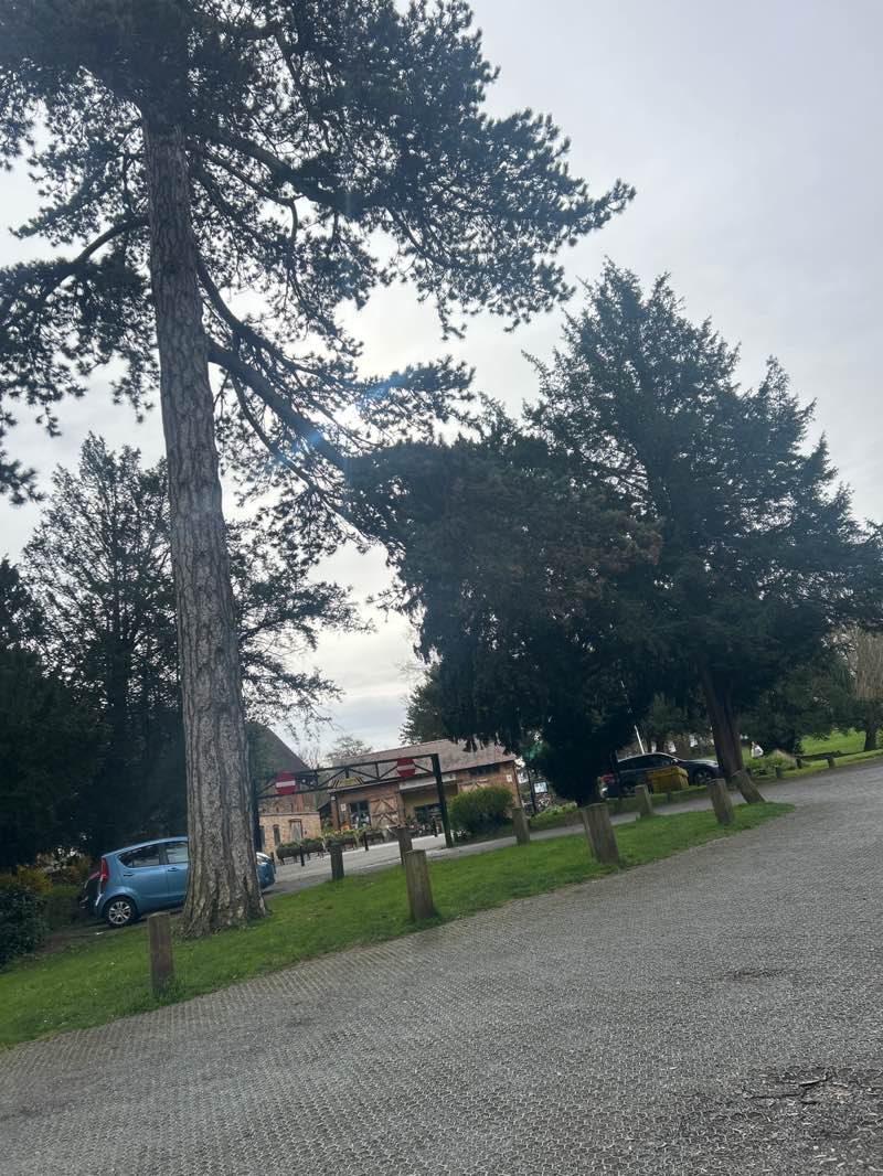 walking near me in Eastcote House Gardens in spring