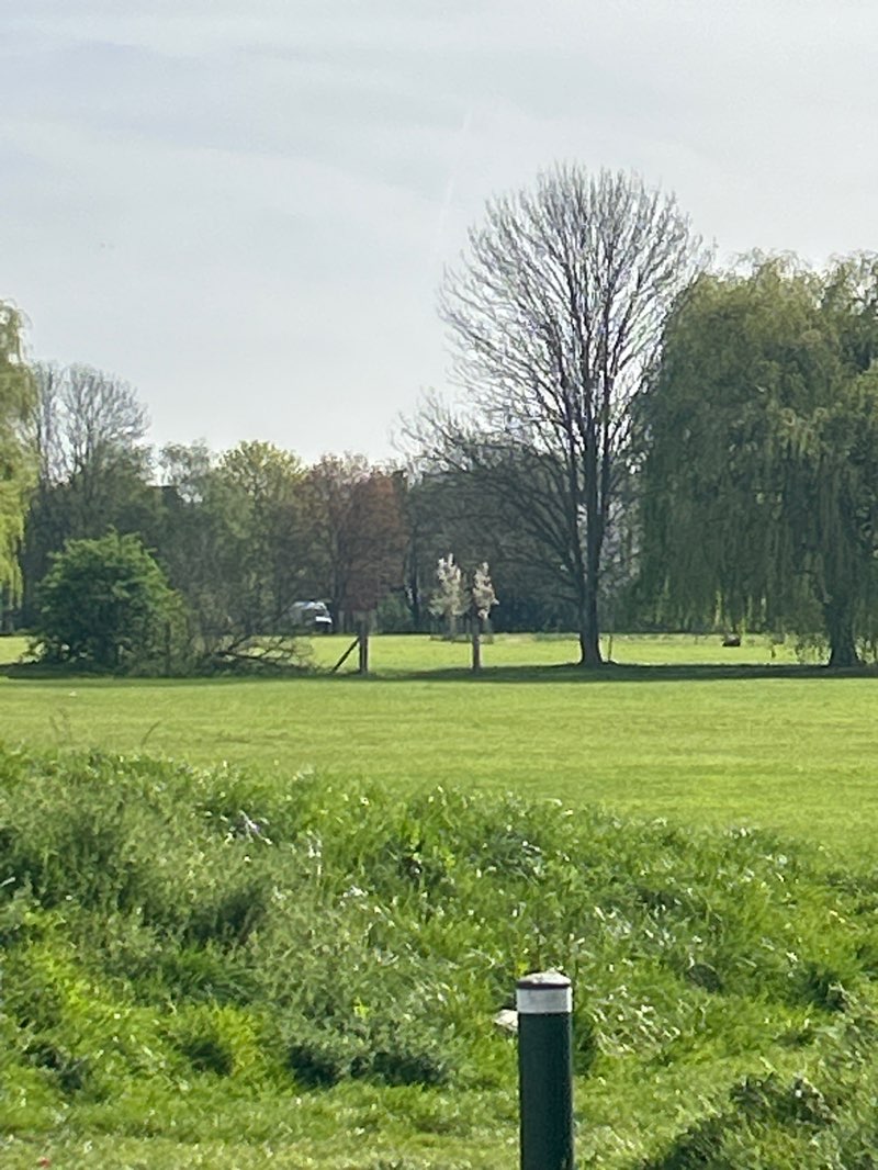 walking near me in Newton Park West in spring