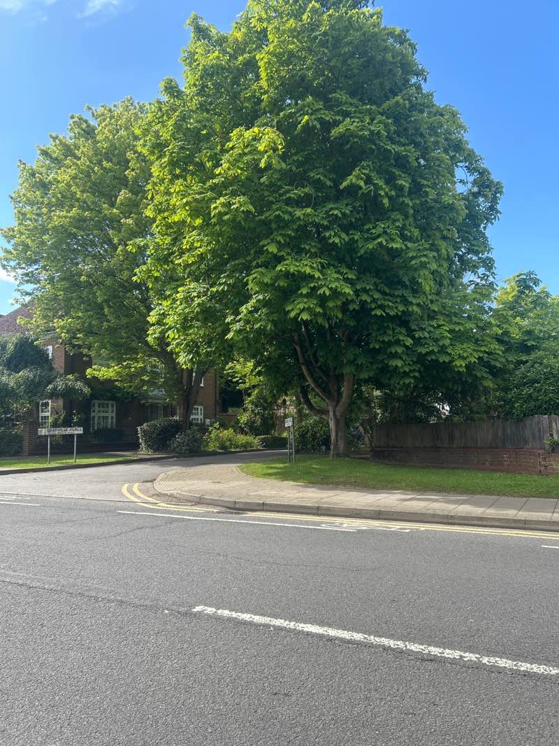walking near me in Little Common in summer