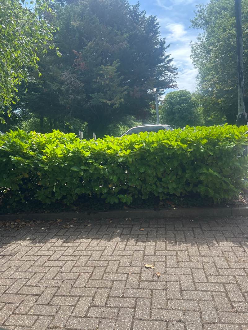 walking near me in Scotsbridge Playing Fields in summer