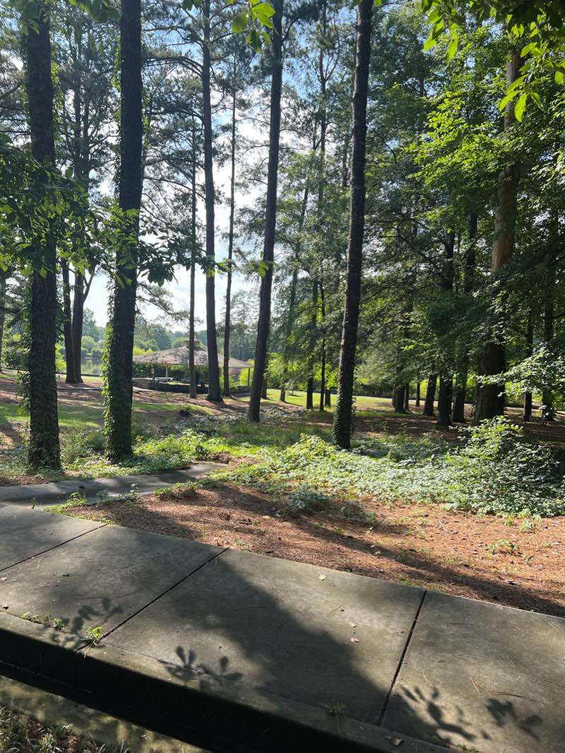 walking near me in T. W. Briscoe Park in winter