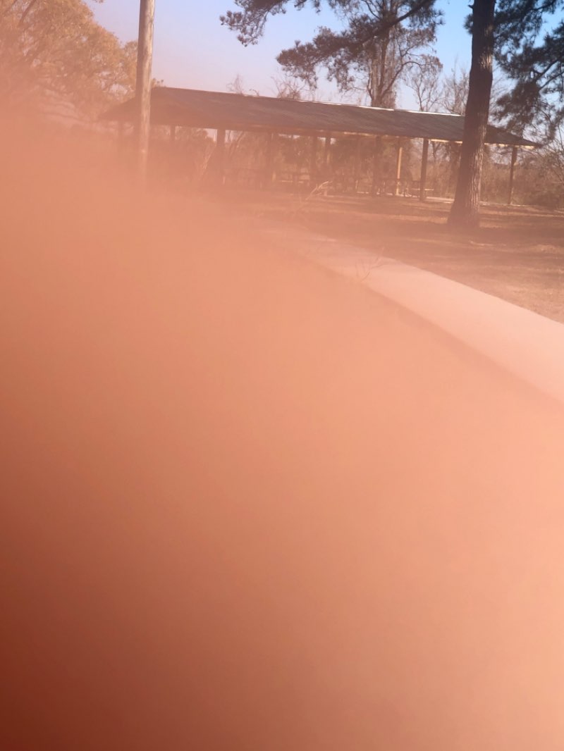 walking near me in Lawson Creek Nature Area in winter