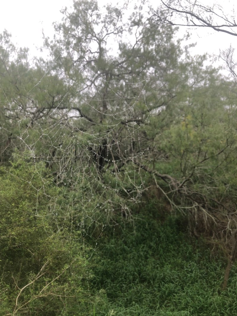 walking near me in Monte Bella Trails Park in winter