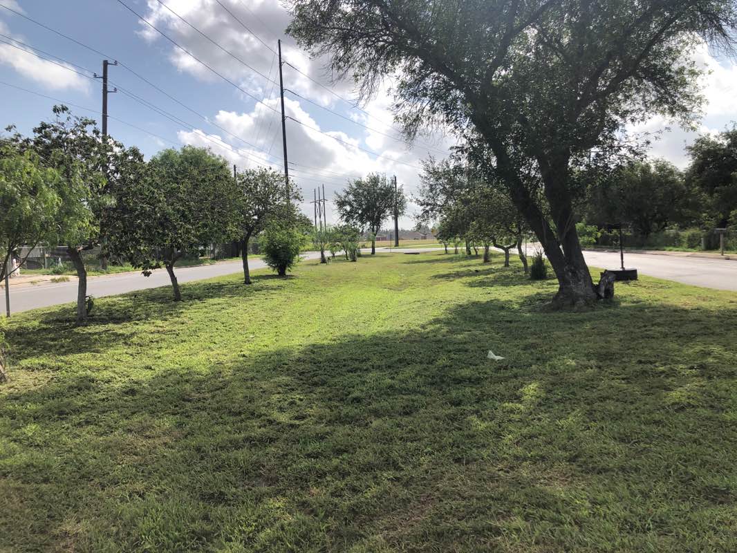 walking near me in Oliveira Park in winter