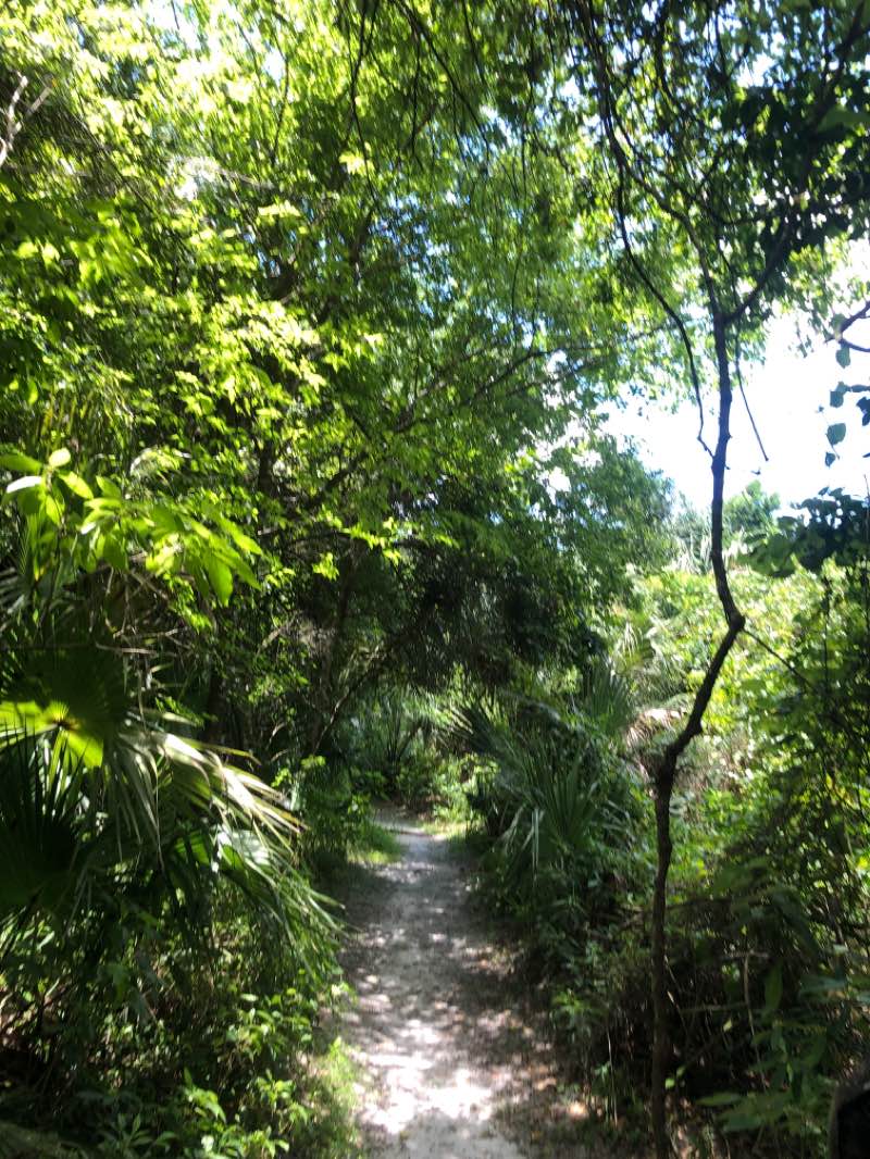 walking near me in Enchanted Forest Sanctuary in winter