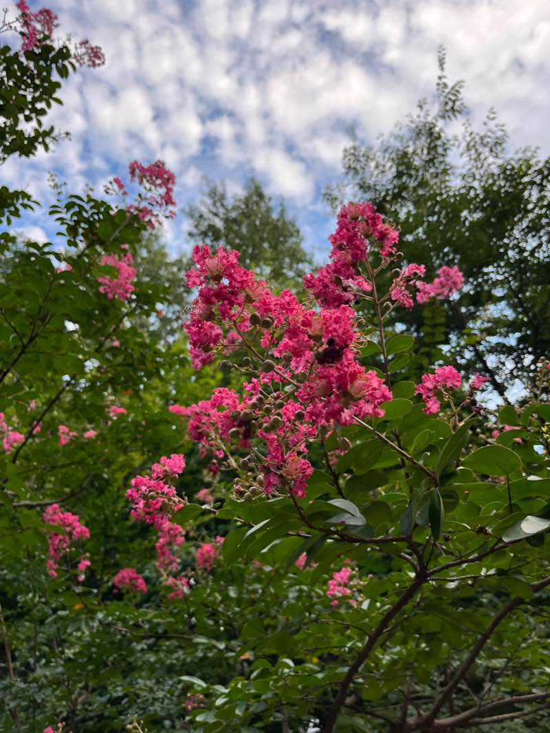 walking near me in 장덕공원 in winter