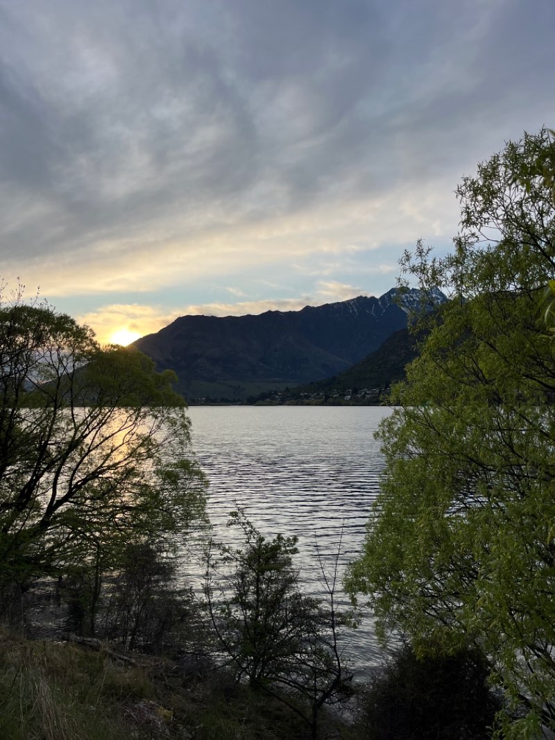 walking near me in Cecil Road Reserve in summer