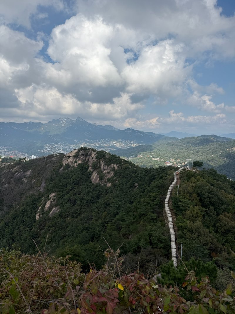 walking near me in 청계천 한빛광장 in autumn