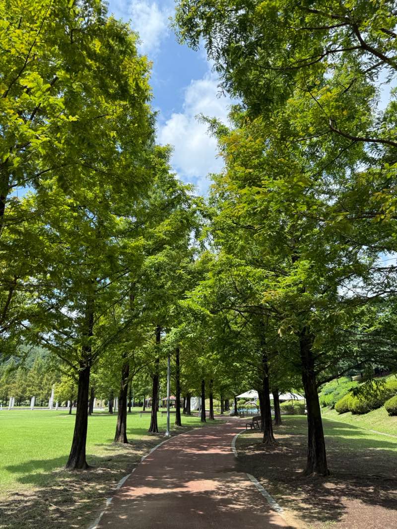 walking near me in Dongtan Central Park in autumn