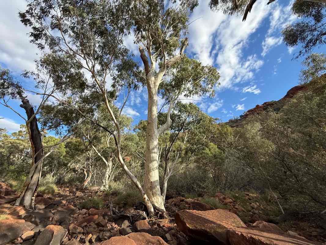 walking near me in Watarrka National Park in autumn