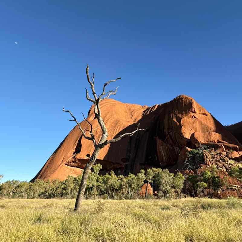nature post 3