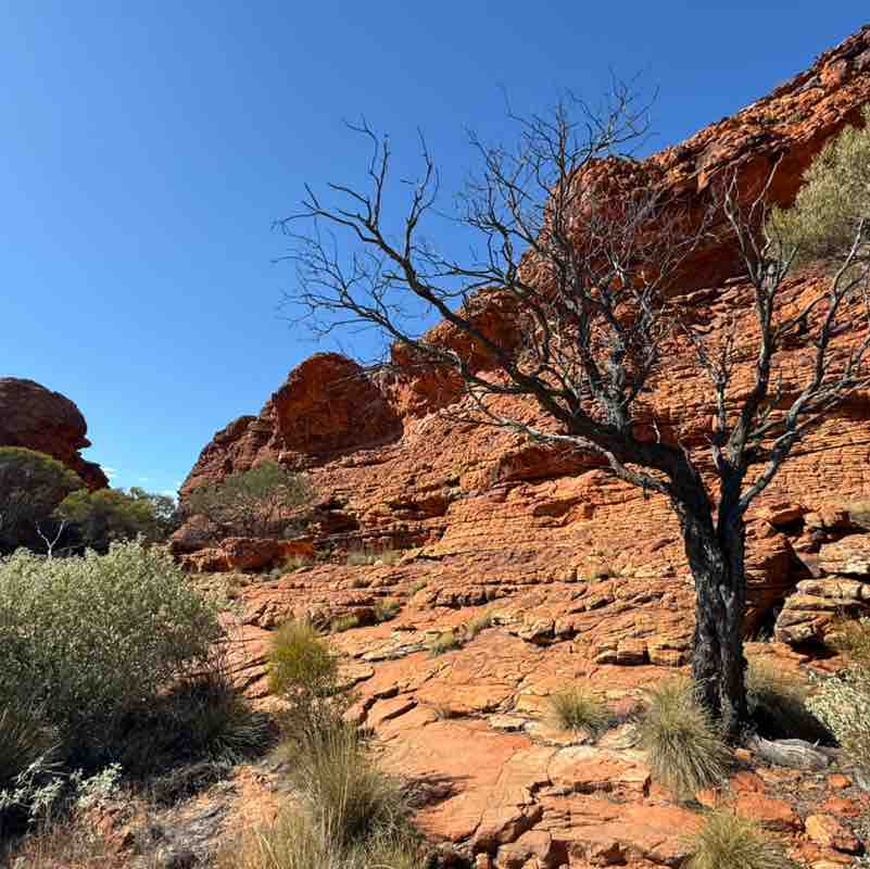 nature post 2