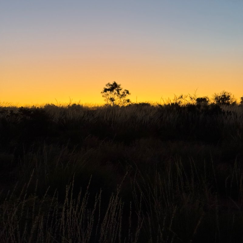 nature post 2