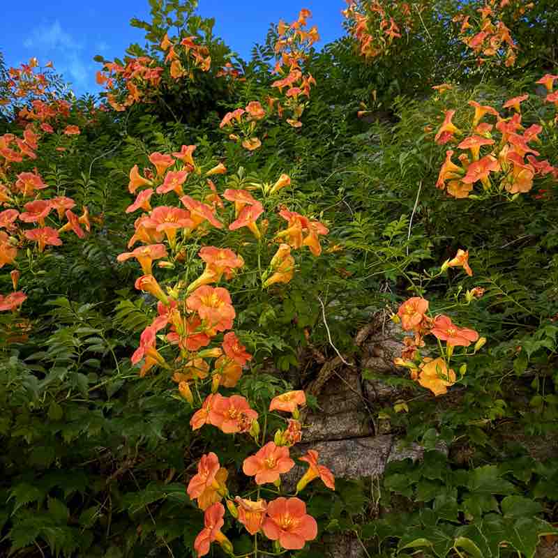 nature post 3