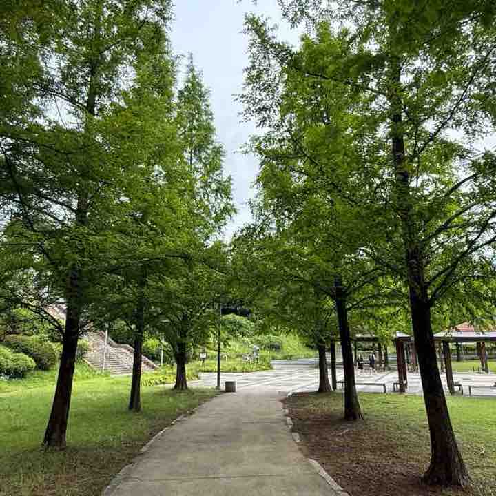 nature post 2
