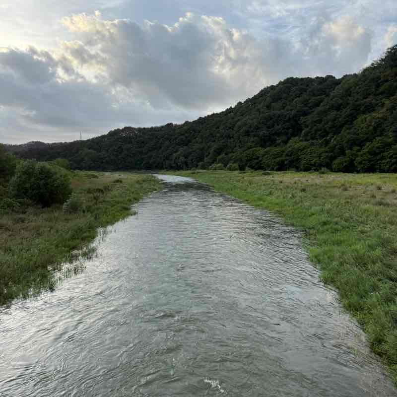 nature post 2