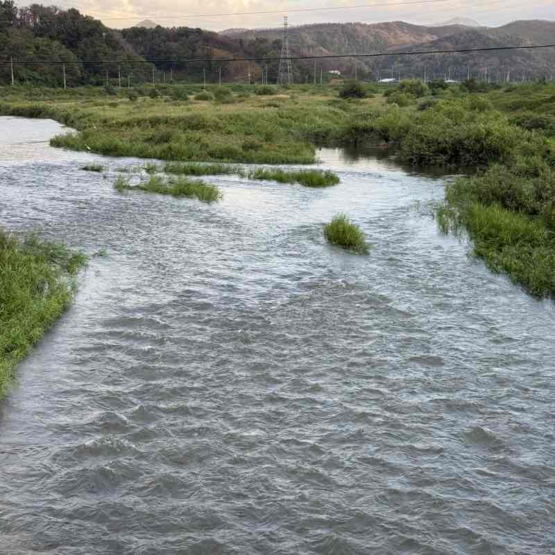 nature post 3